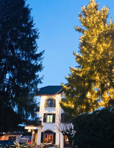 hotel-sanetsch-PHOTO-00000051-768x1024